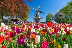 Keukenhof